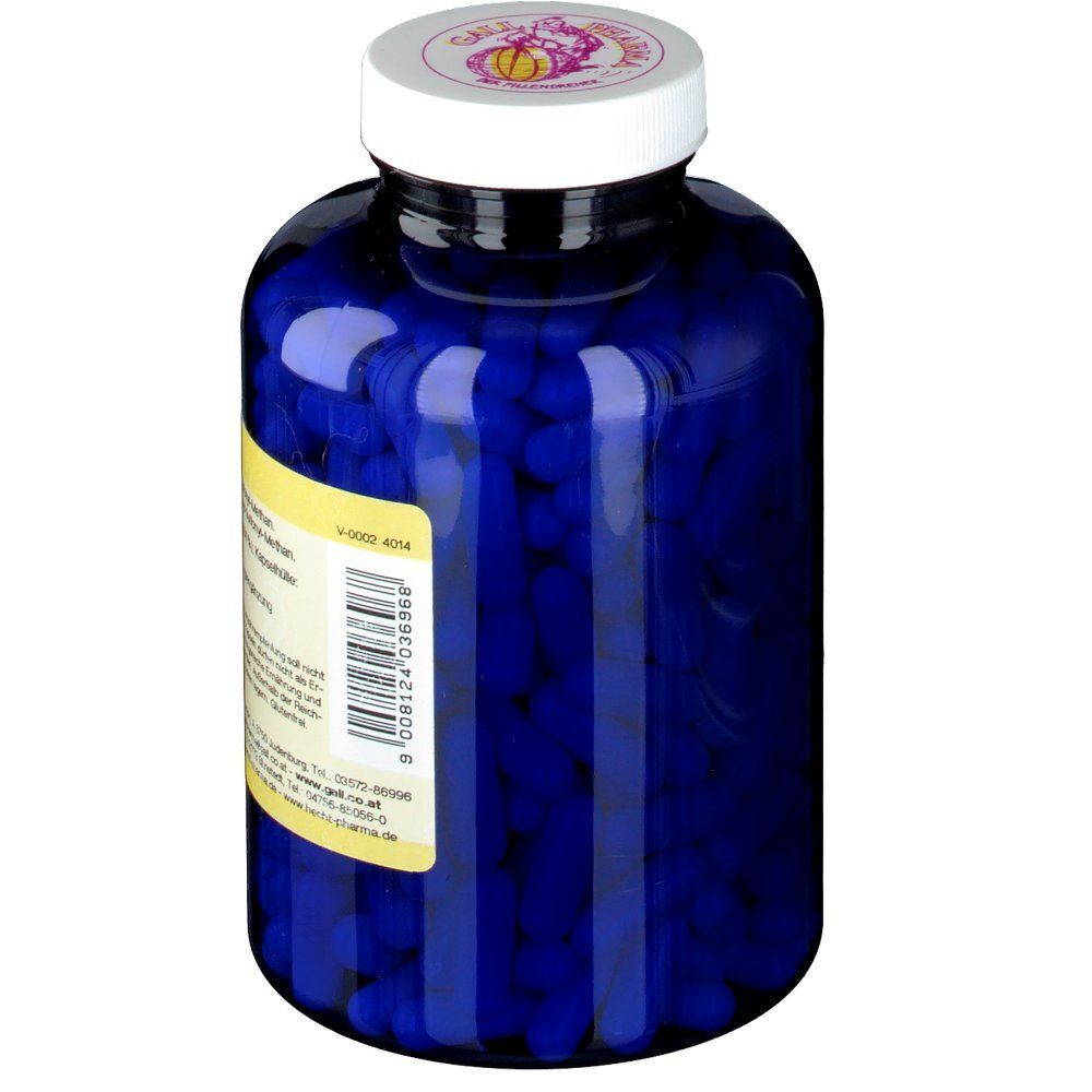 Ein blauer Behälter mit Gall Pharma MSM 500 mg GPH Kapseln. Rückseite des gelben Etiketts mit Barcode und Informationen.
