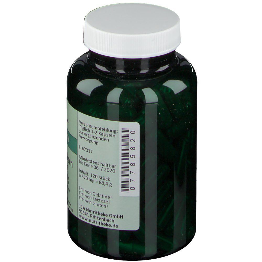 Grüne Flasche mit Traubenkernextrakt-Kapseln, 150 mg, 120 Stück. Rückseite mit Etikett.