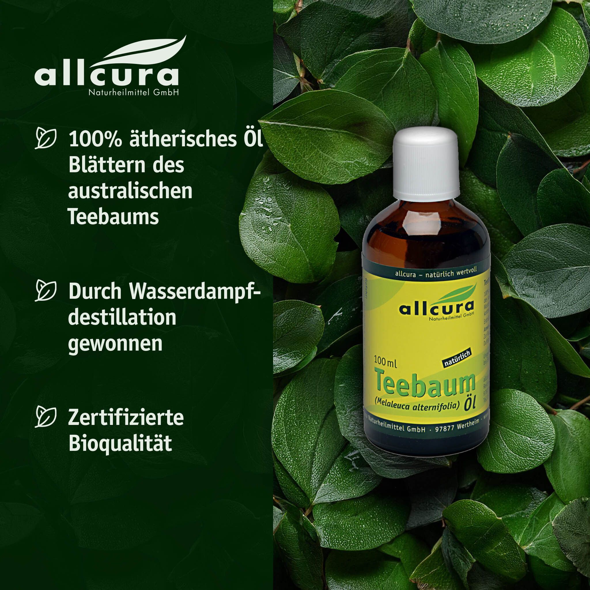 Flasche allcura Teebaum Öl (100ml) umgeben von grünen Blättern. Links: 100% ätherisches Öl, australisches Teebaumöl, Wasserdampfdestillation, Bioqualität.