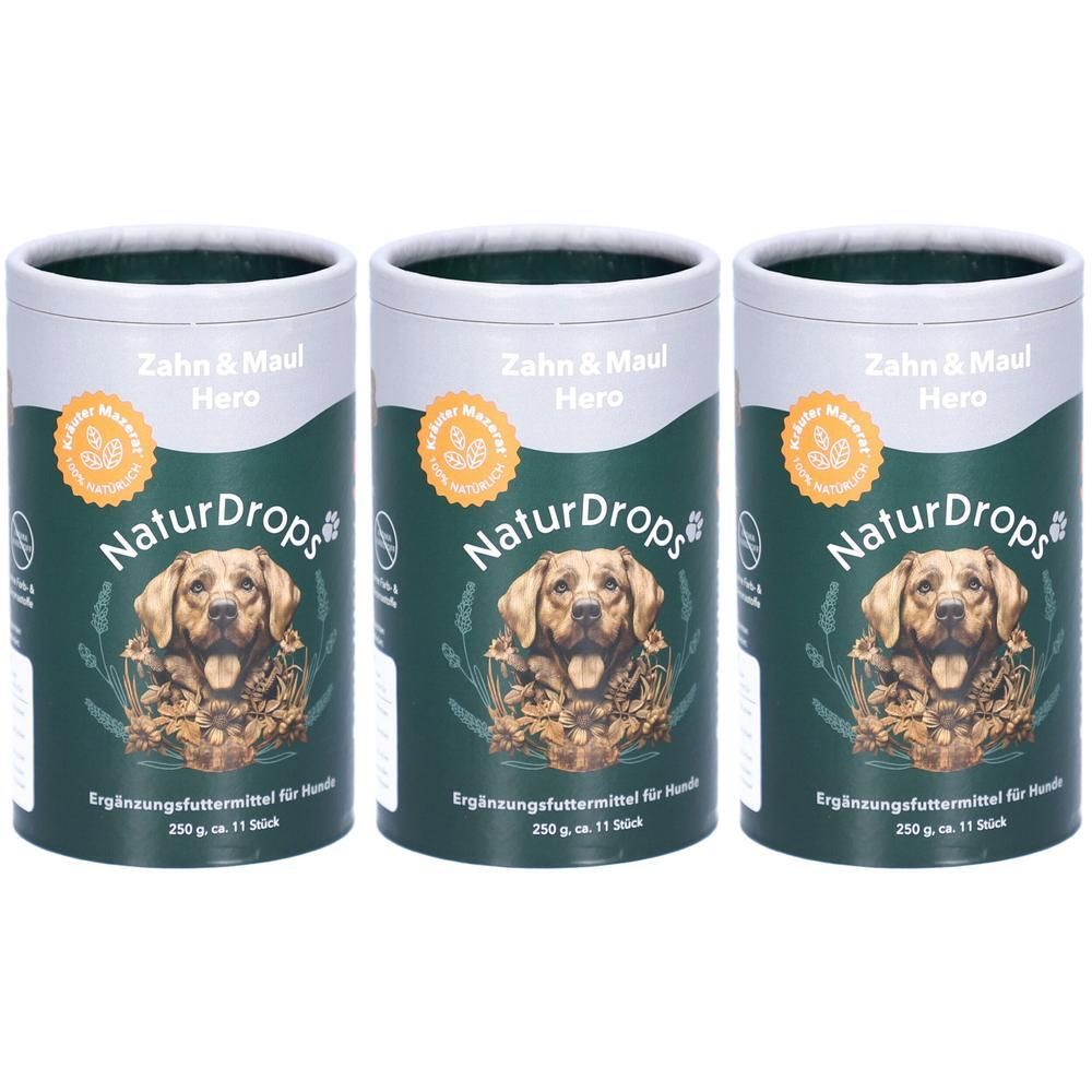 Naturdrops Zahn & Maul Hero Kaustangen f.Hunde x3 3x250 g