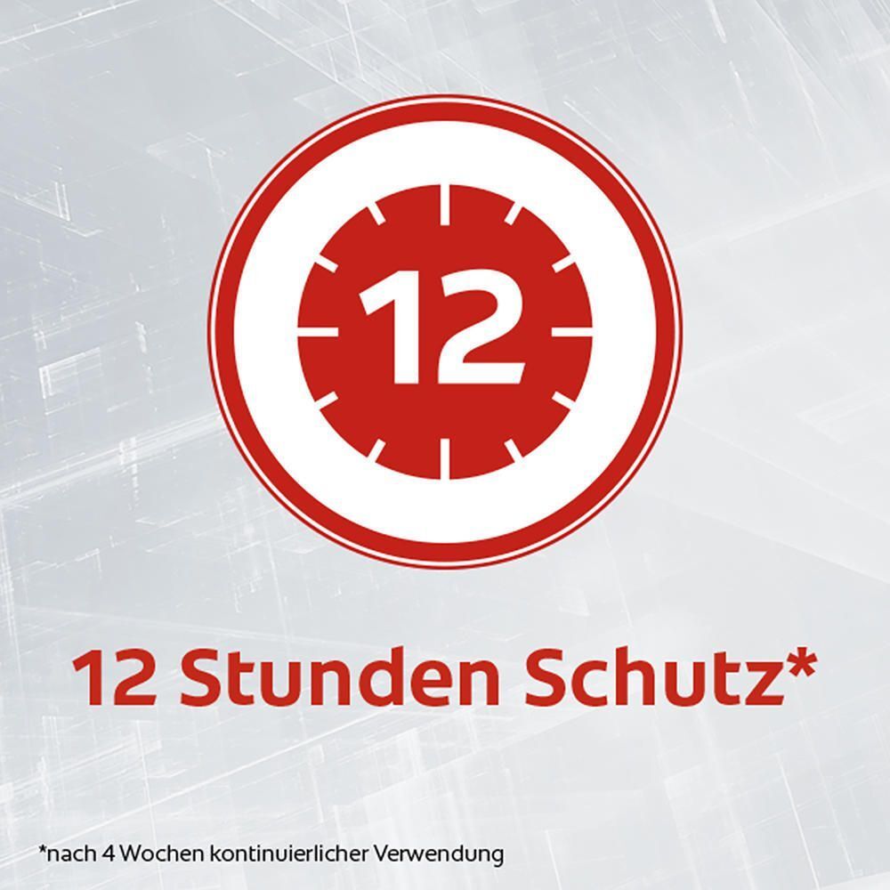 Symbol einer Uhr mit der Zahl 12, steht für 12 Stunden Schutz.