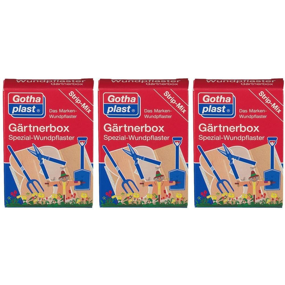 Gothaplast Gärtnerbox Pflaster x3 3x1 St