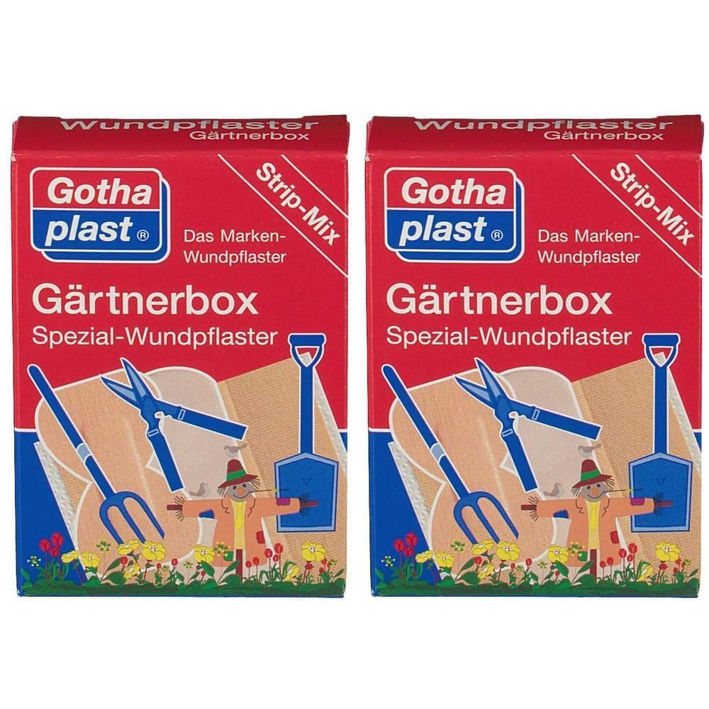 Gothaplast Gärtnerbox Pflaster x2 2x1 St