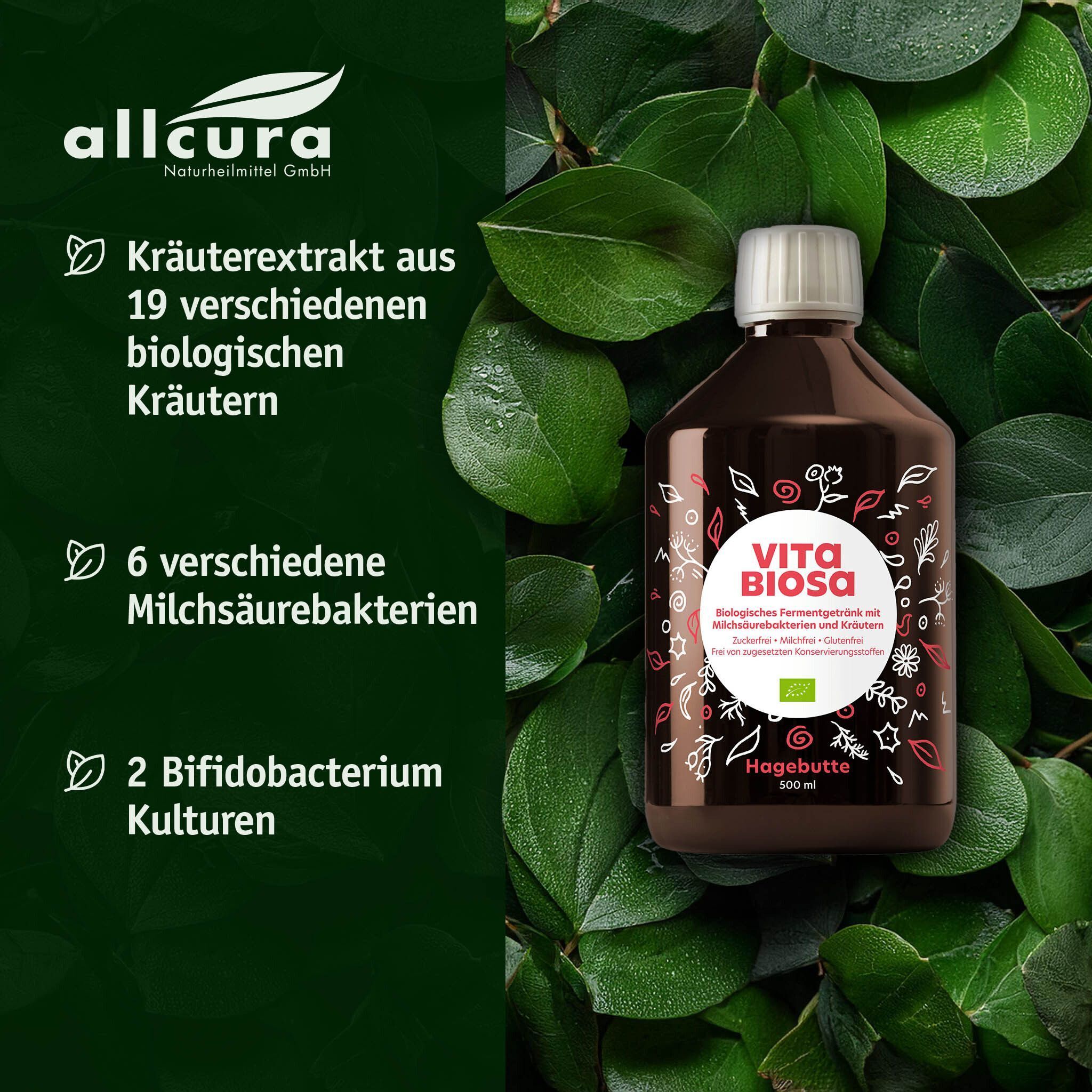 Flasche Vita Biosa Hagebutte, Bio-Fermentgetränk. Kräuterextrakt aus 19 Kräutern, 6 Milchsäurebakterien, 2 Bifidobakterien.