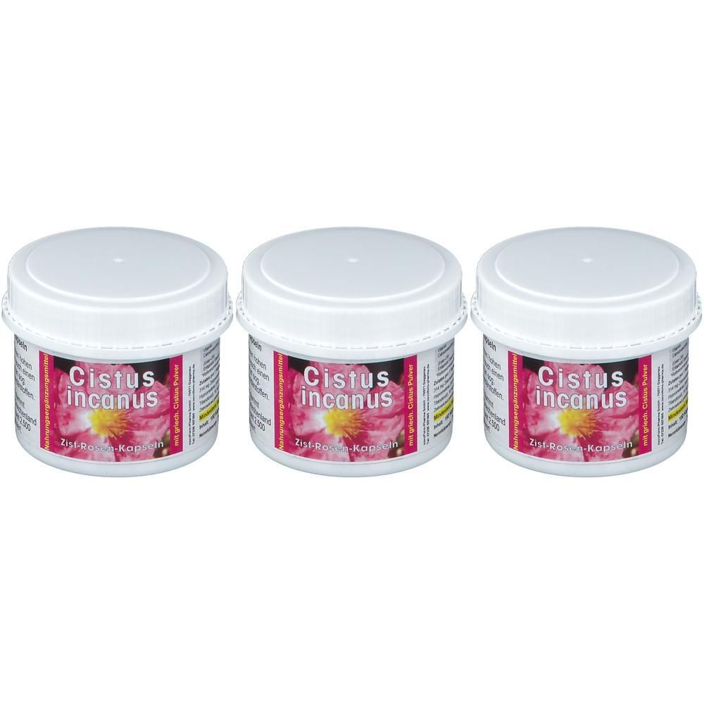 Drei Dosen Cistus Incanus mit Blütenabbildung auf dem Etikett.