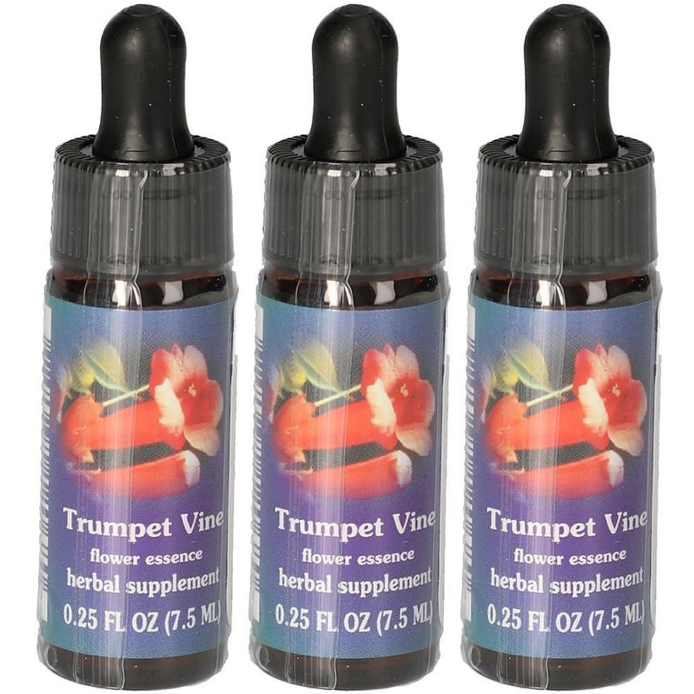 Drei Fläschchen Trumpet Vine Blütenessenz mit Pipettenverschluss. Jedes Fläschchen enthält 7.5 ml.