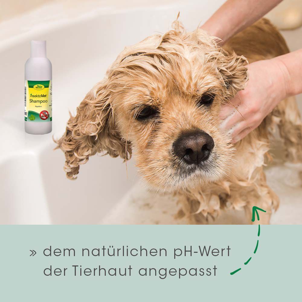 Ein Hund wird in einer Badewanne mit cd Vet insektoVet® Shampoo gebadet.