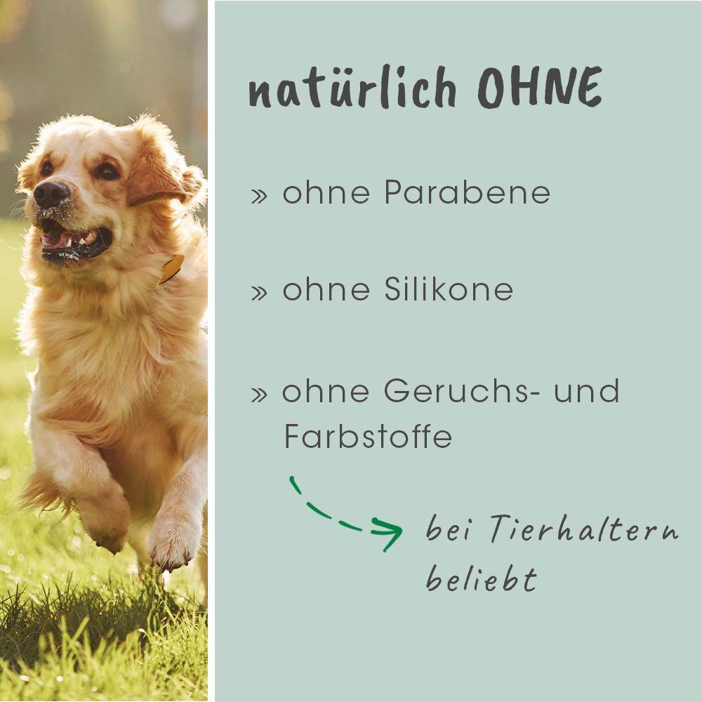 Ein laufender Hund im Gras, Produkt ist natürlich ohne Parabene, Silikone, Duft-/Farbstoffe.