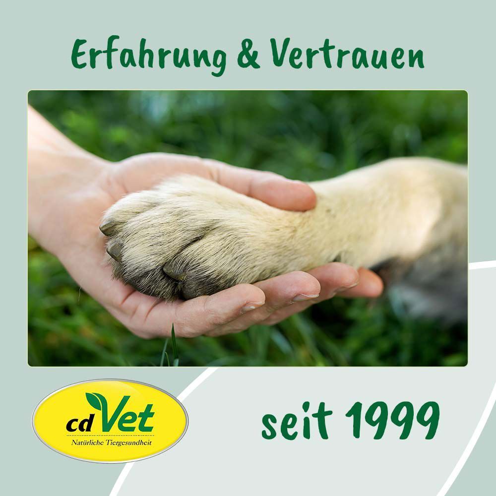 Eine Hand hält eine Hundepfote, Symbol cd Vet seit 1999, natürliche Tiergesundheit.