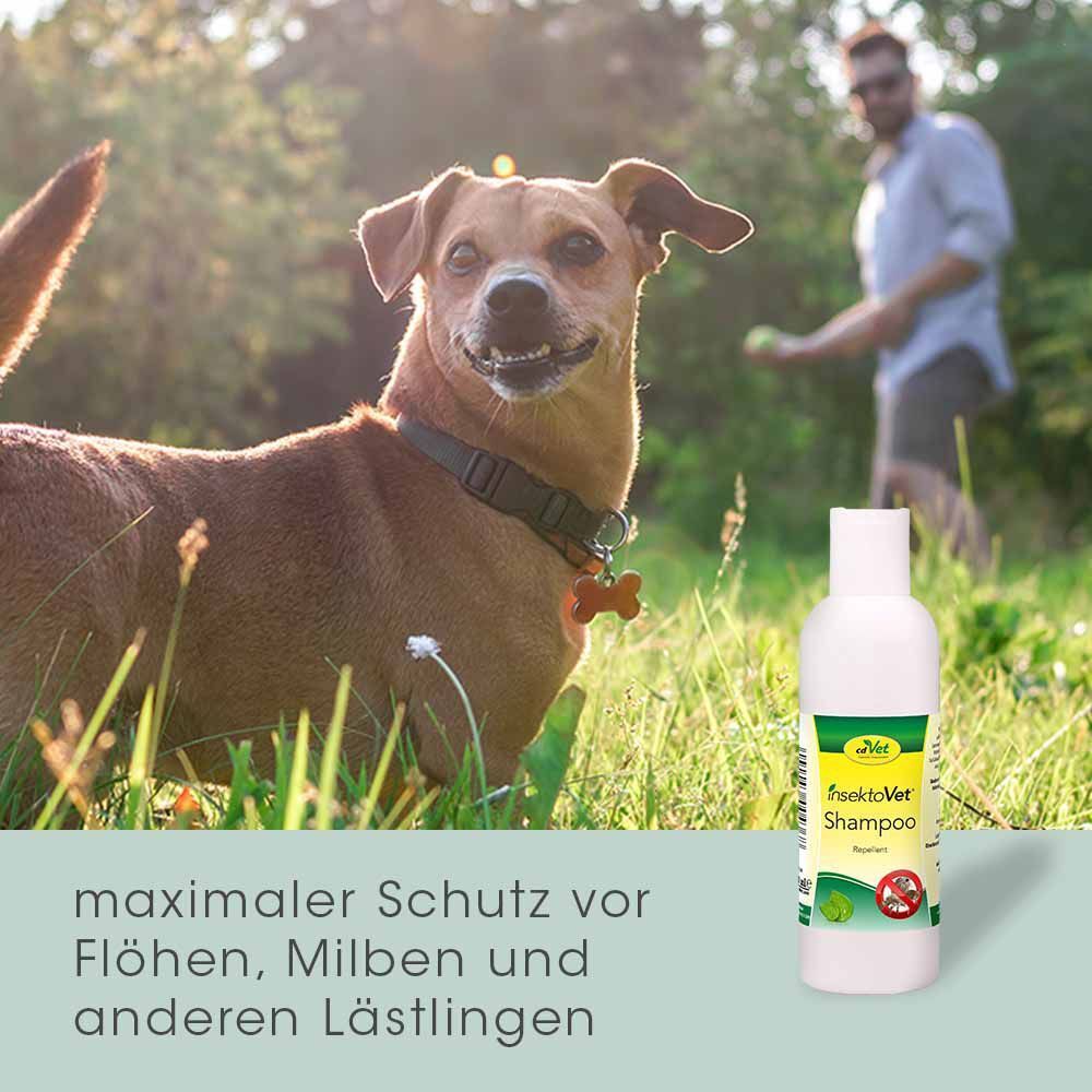 Ein Hund im Gras mit einer Flasche cd Vet insektoVet® Shampoo, maximaler Schutz.