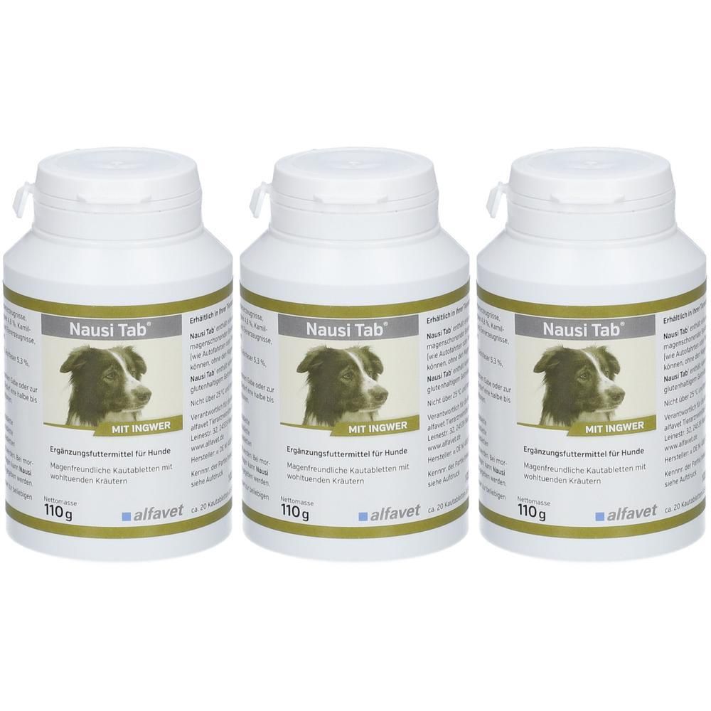 Drei Dosen Nausi Tab® Ergänzungsfuttermittel für Hunde mit Ingwer, je 110g.