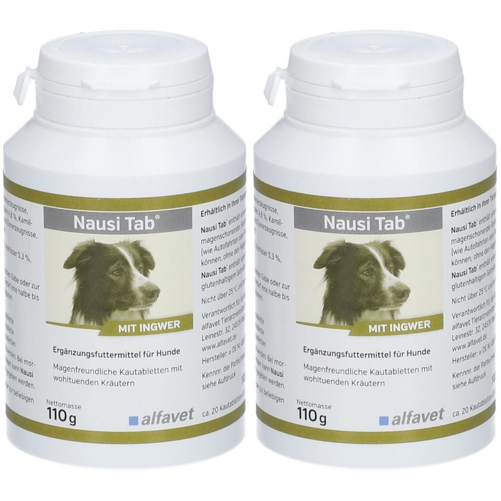 Zwei Dosen Nausi Tab® Ergänzungsfuttermittel für Hunde mit Ingwer, 110g.