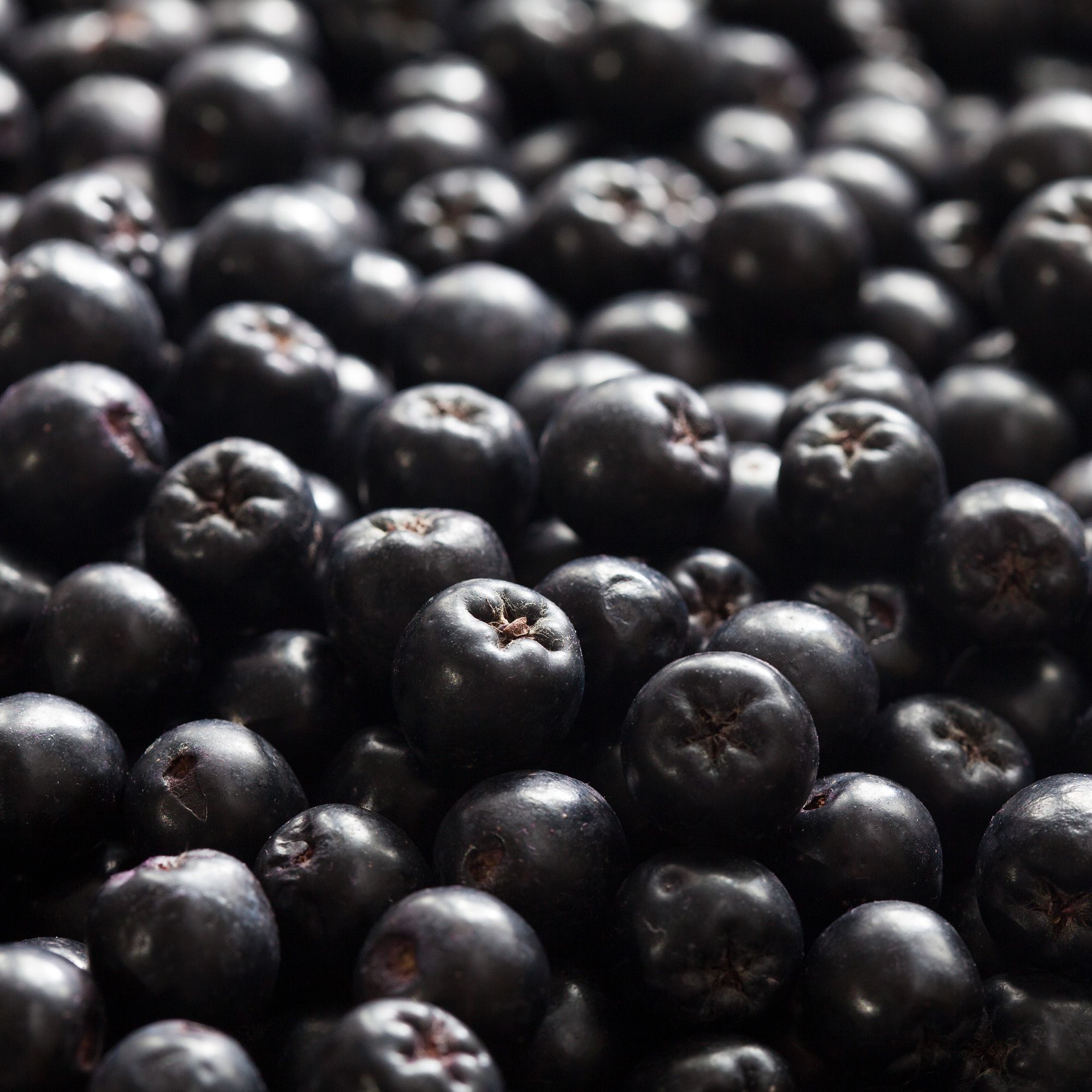 Nahaufnahme von dunklen, runden Aroniabeeren mit sichtbaren Stielen und Blütenansätzen.