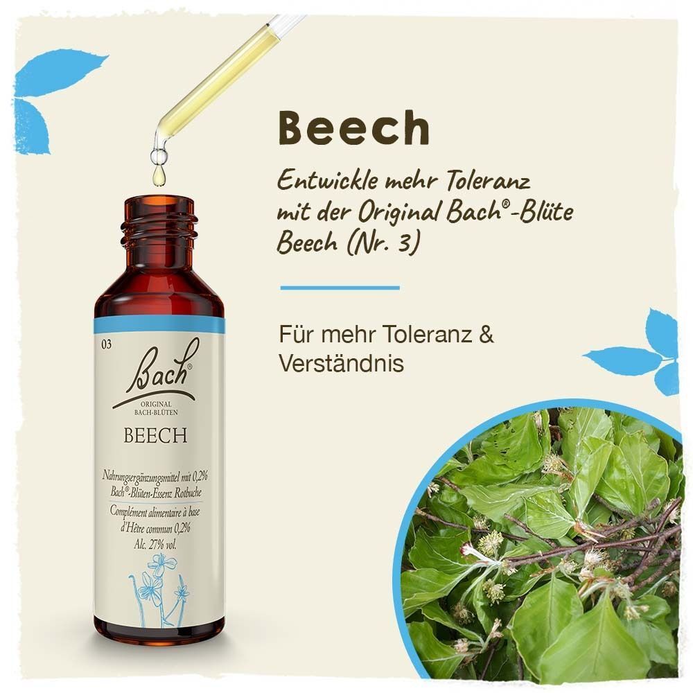 Flasche Bachblüten Original Beech Tropfen mit Pipette und Nahaufnahme von Buchenblättern.