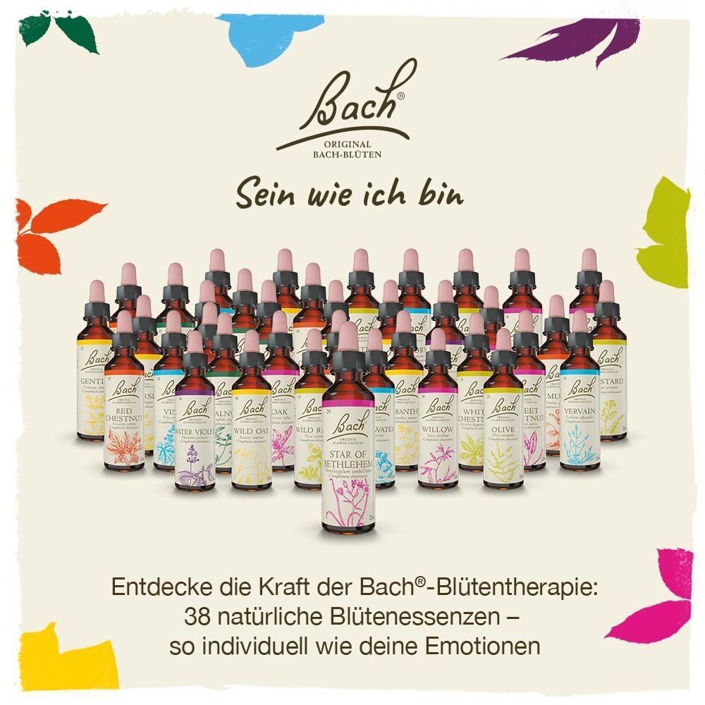 Reihe von 38 verschiedenen Bachblüten Original Fläschchen.