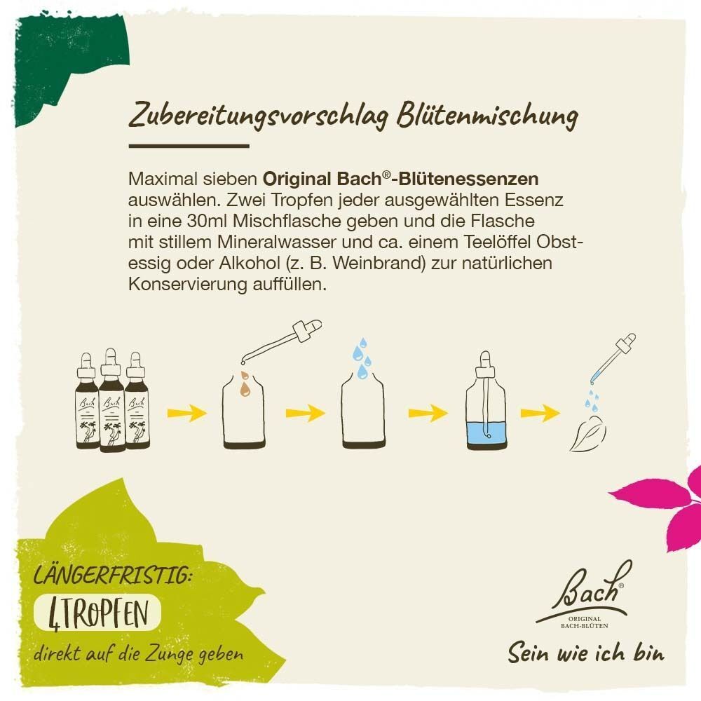 Anleitung zur Herstellung einer Bachblüten-Mischung mit Pipettenflaschen.