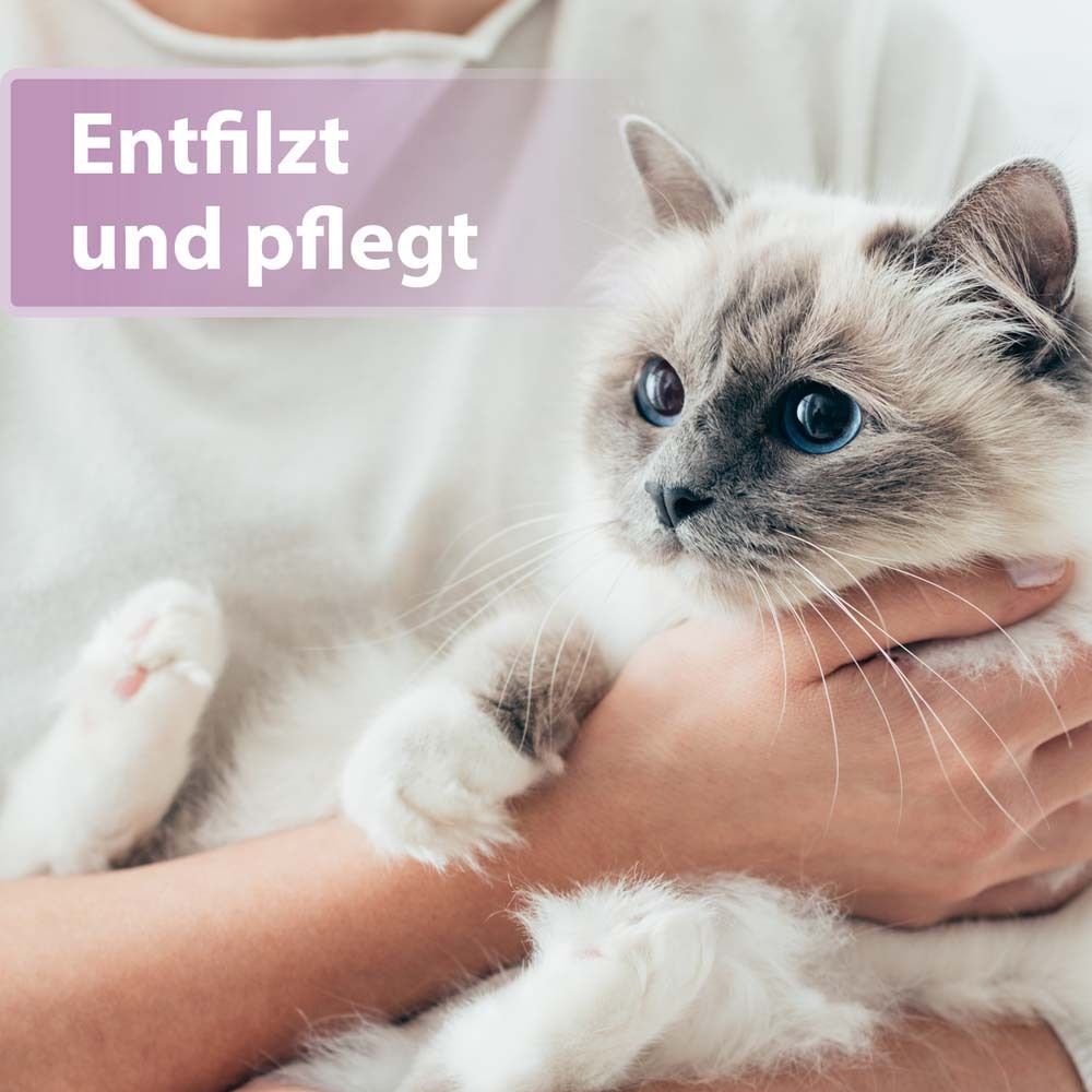 Eine Person hält eine Katze, die sich entspannt. Text: Entfilzt und pflegt.