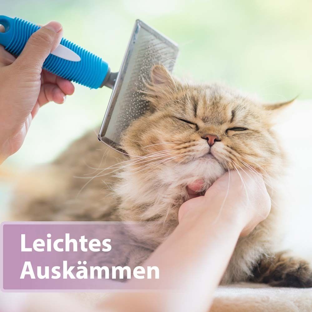 Eine Hand bürstet eine Katze mit einem blauen Kamm. Text: Leichtes Auskämmen.