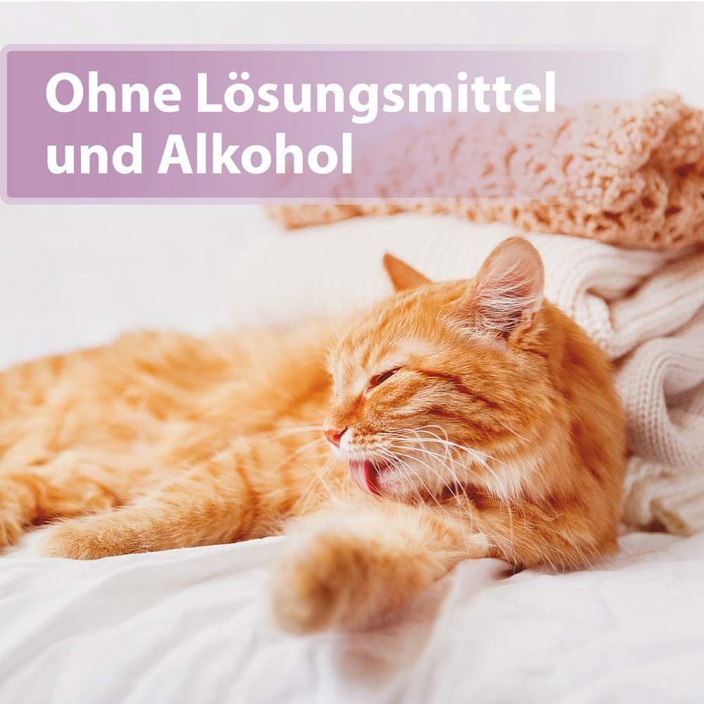 Eine Katze leckt sich auf einem Bett. Text: Ohne Lösungsmittel und Alkohol.