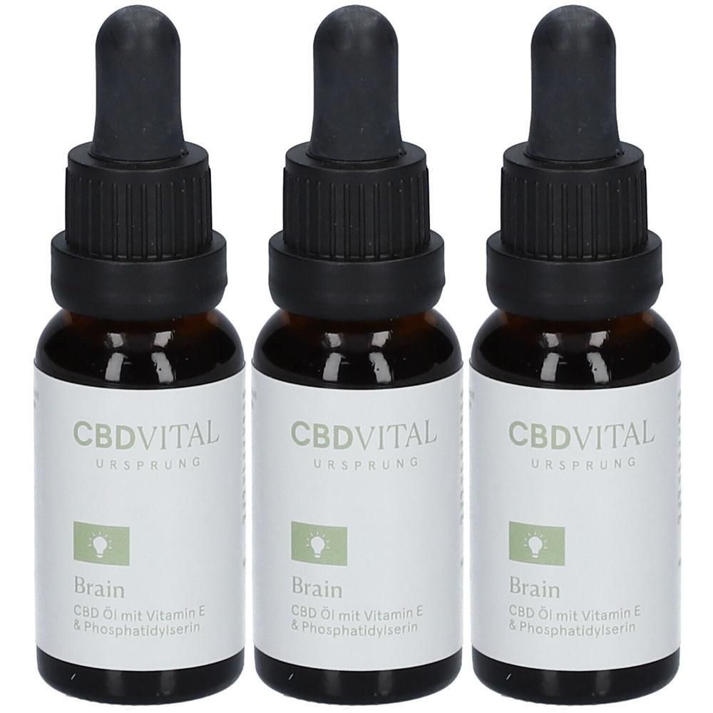 Drei Flaschen CBD Öl mit Pipettenverschluss. Etikett zeigt 'CBDVITAL URSPRUNG Brain CBD Öl mit Vitamin E & Phosphatidylserin'.