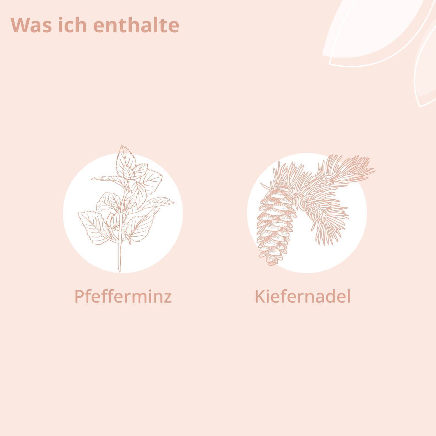 Illustrationen von Pfefferminze und Kiefernzapfen mit der Überschrift 'Was ich enthalte'.