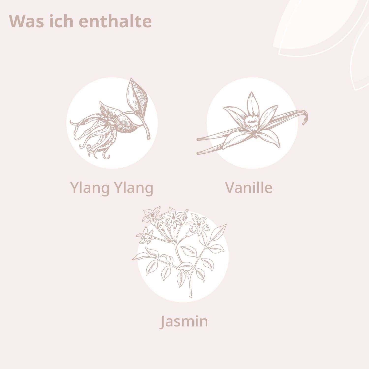 Illustrationen von Ylang Ylang, Vanille und Jasmin, Inhaltsstoffe des Raumsprays.