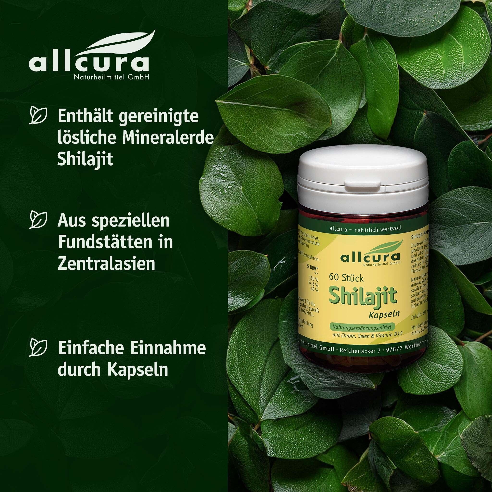 Shilajit Kapseln x3 3x60 St