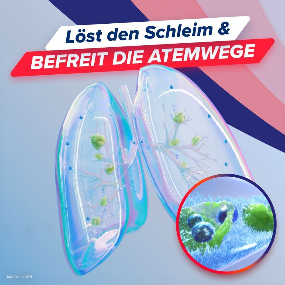 Abstrakte Darstellung von Lungen. Text: Löst den Schleim & befreit die Atemwege.