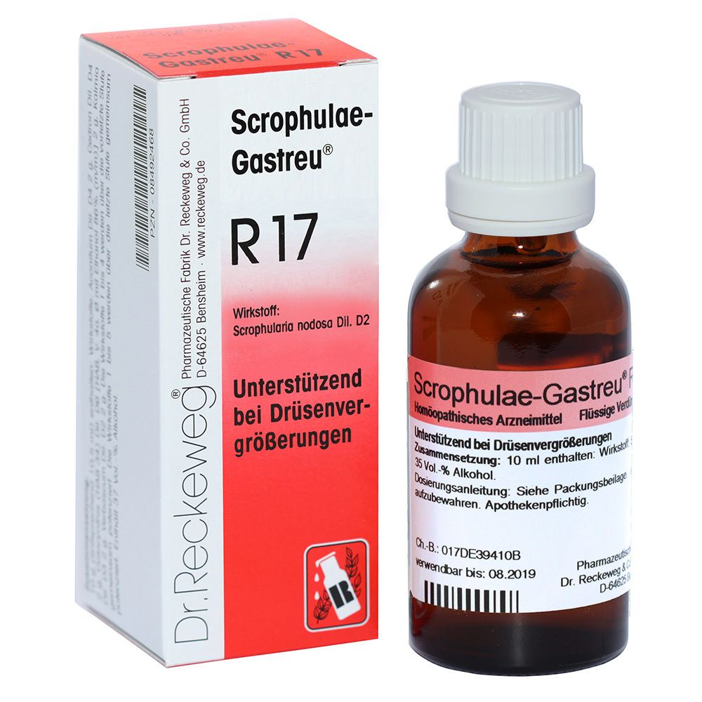 Scrophulae Gastreu R 17 Tropfen zum Einnehmen