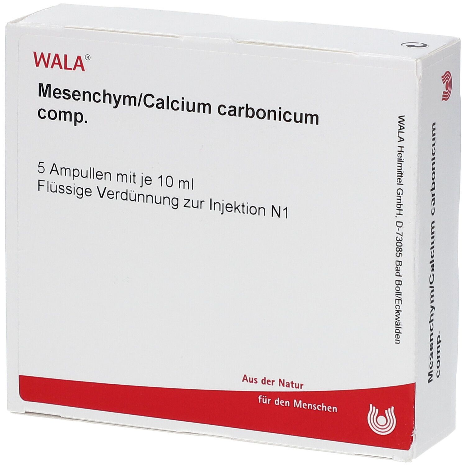 Mesenchym / Calcium carbonicum comp. Ampullen