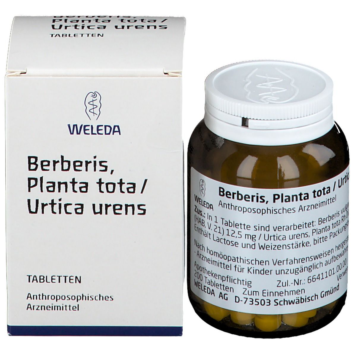 Berberis Planta tota / Urtica urens