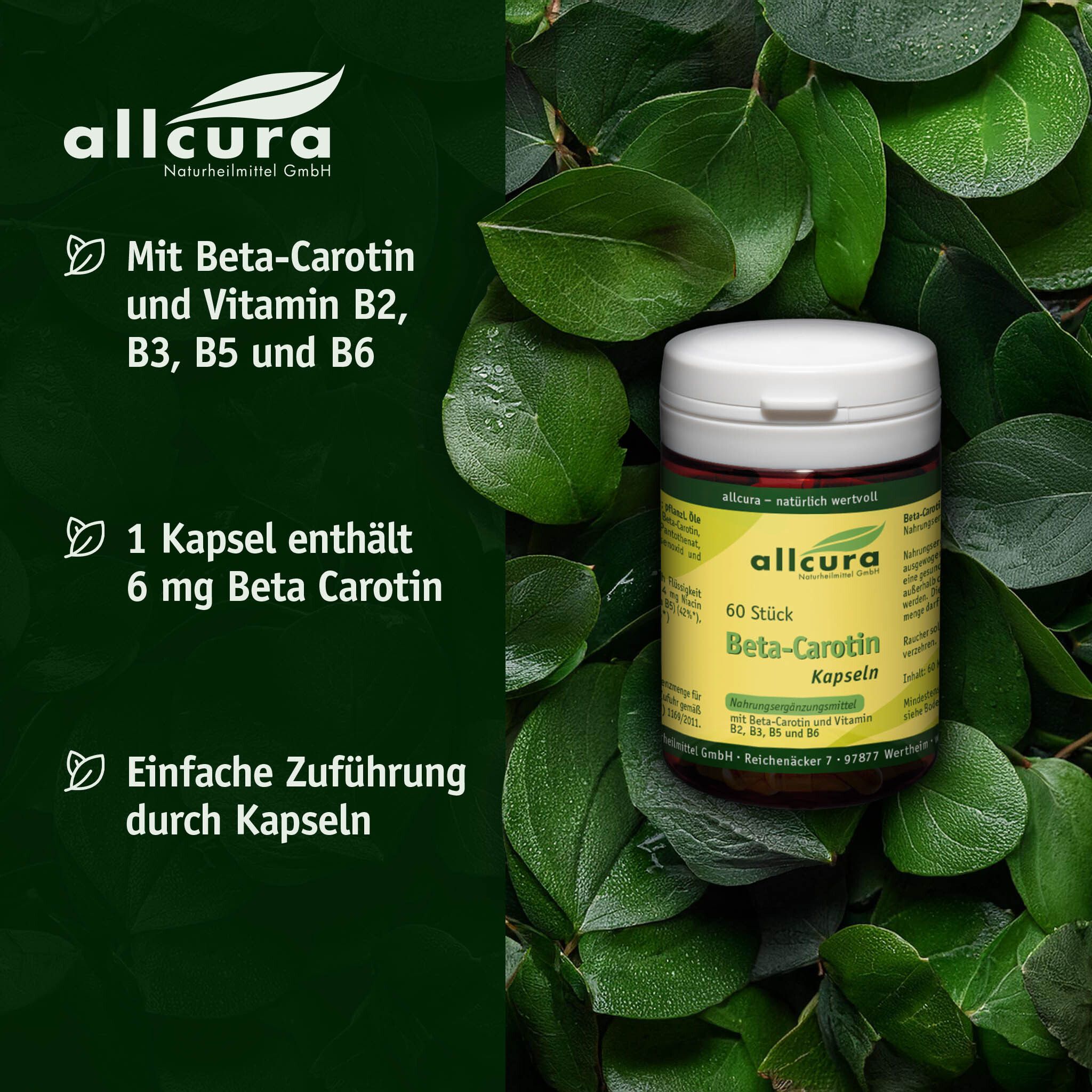Dose mit Kapseln, umgeben von Blättern. Text: Mit Beta-Carotin und Vitamin B2, B3, B5 und B6. 1 Kapsel enthält 6 mg Beta Carotin.