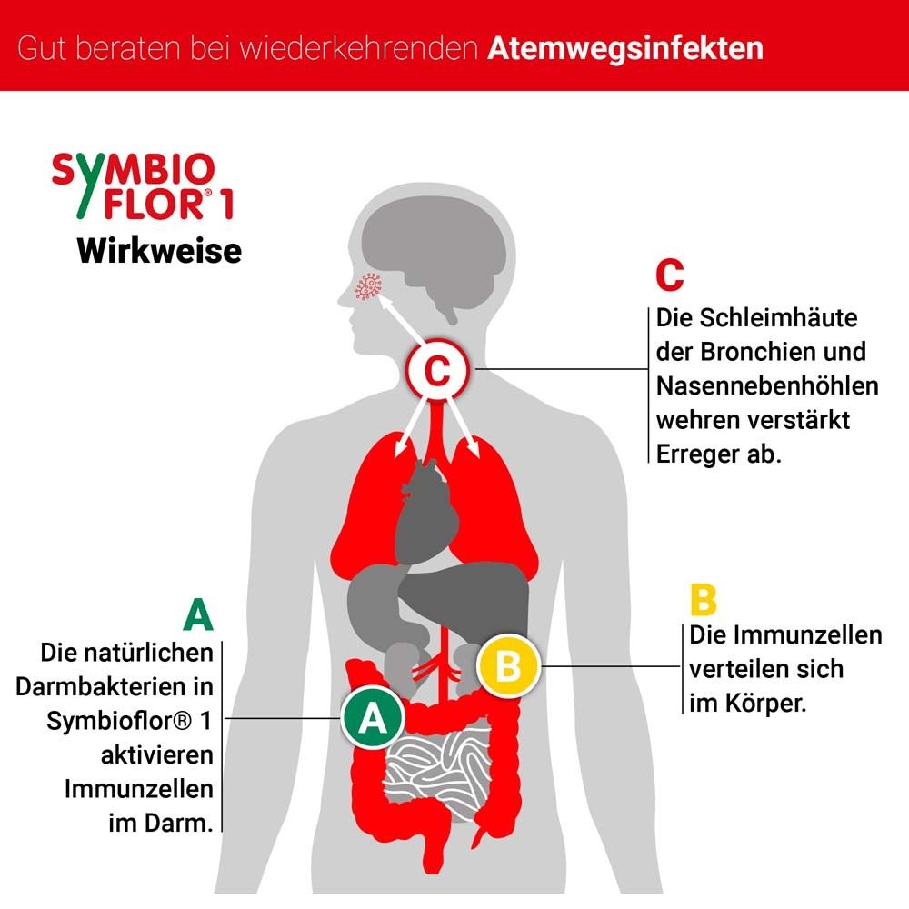 Symbioflor® 1 Probiotika für die Bronchien und Atemwege