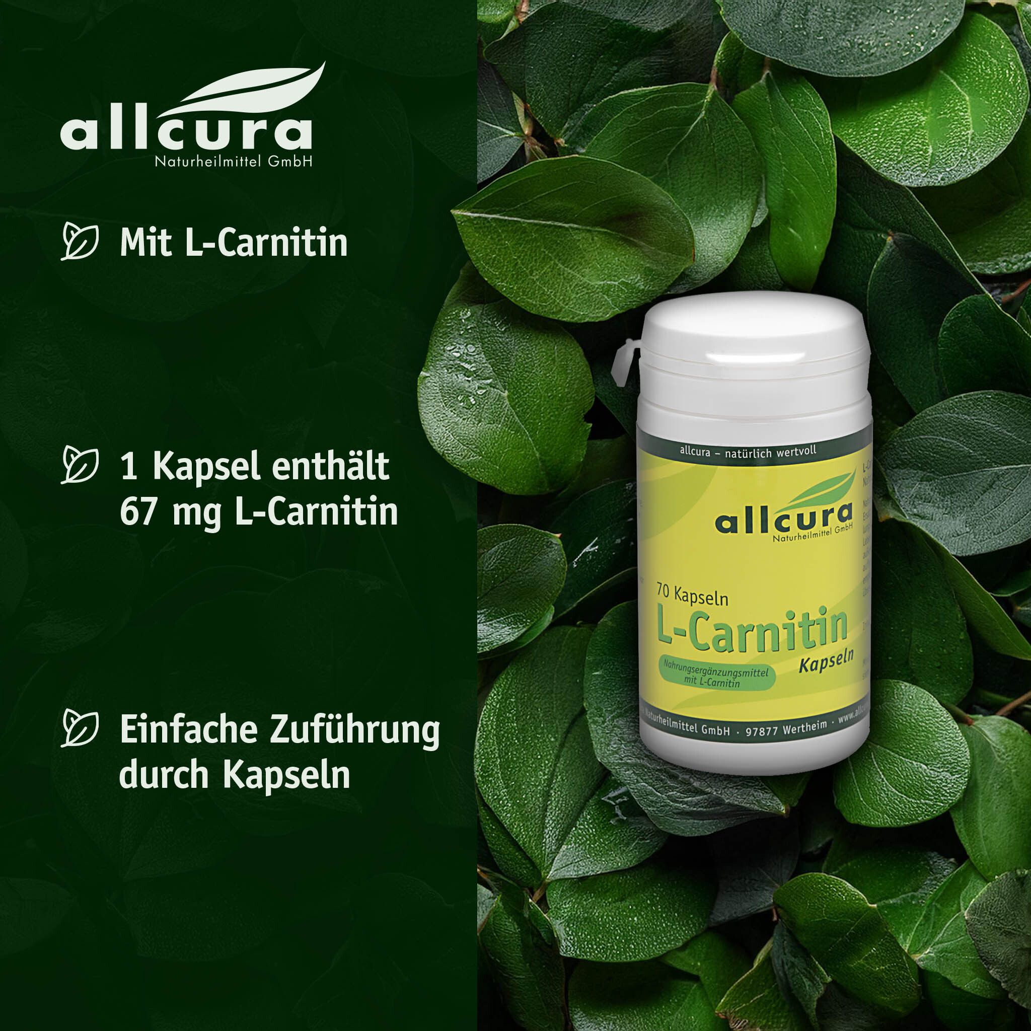 allcura L-Carnitin Kapseln-Behältnis vor Blättern. Enthält L-Carnitin. 1 Kapsel enthält 67 mg L-Carnitin.