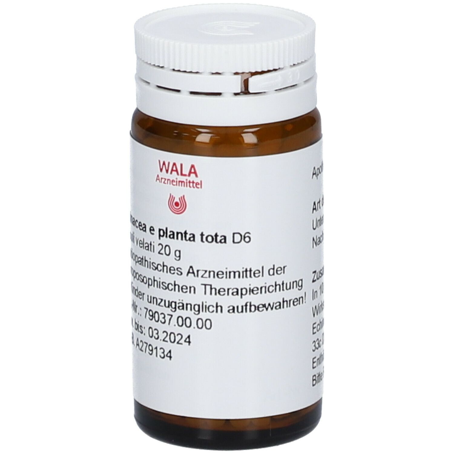 WALA® Echinacea E Planta Tota D 6 Globuli