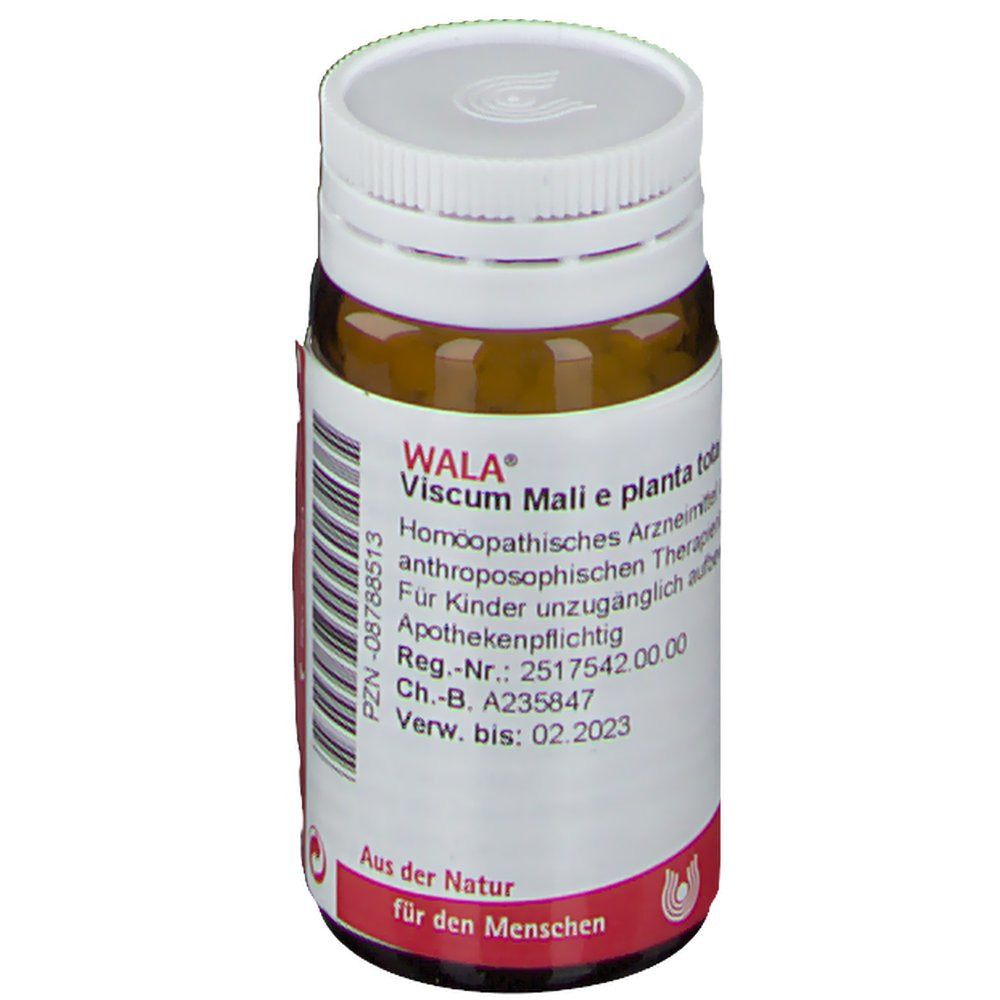 Braune Glasflasche mit weißem Deckel. Beschriftung: WALA Viscum Mali e planta tota D 30. PZN-08788513. Apothekenpflichtig. Haltbarkeit bis 02.2023.