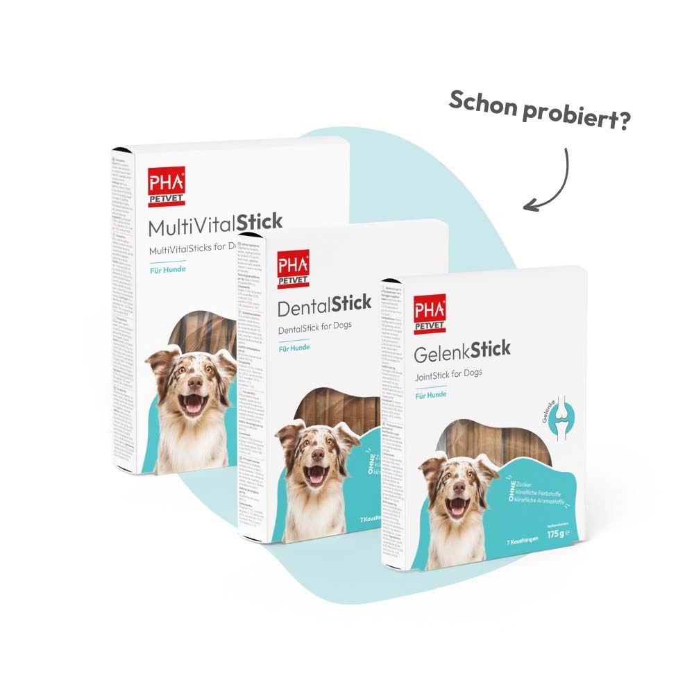 Drei Produktverpackungen: MultiVitalStick, DentalStick, GelenkStick. Alle mit Logo und Hundeabbildung.