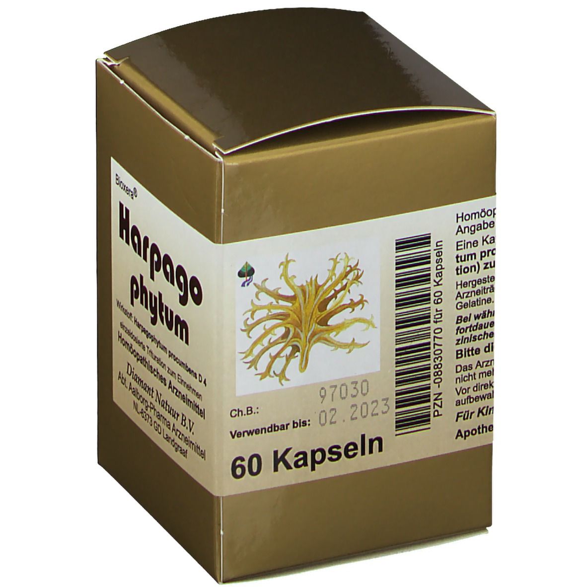 Goldfarbene Faltschachtel mit Aufschrift Bioxera Harpago phytum. 60 Kapseln. Verwendbar bis 02.2023. Text in deutscher Sprache.