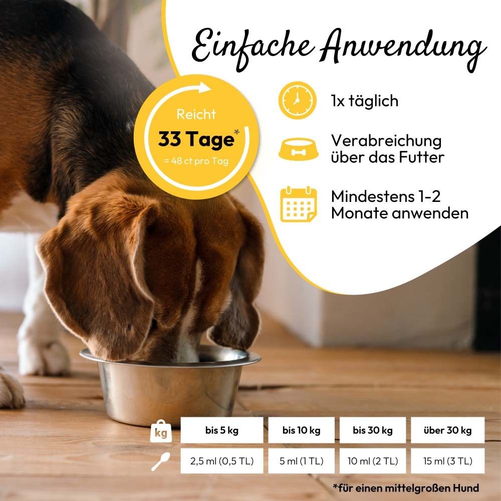 Hund frisst aus einer Schüssel. Text: Einfache Anwendung. Dosierungstabelle für Hunde.
