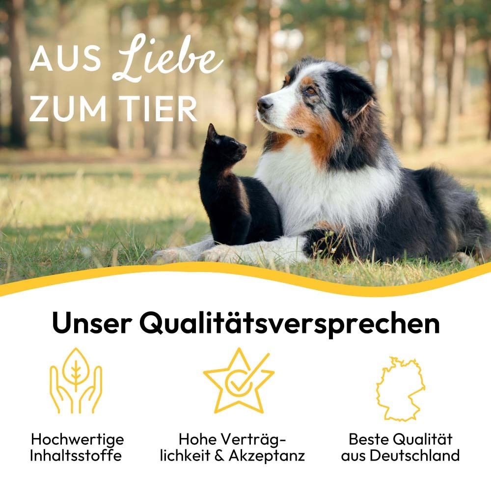 Hund und Katze liegen im Gras. Text: Aus Liebe zum Tier. Unser Qualitätsversprechen. Logos.