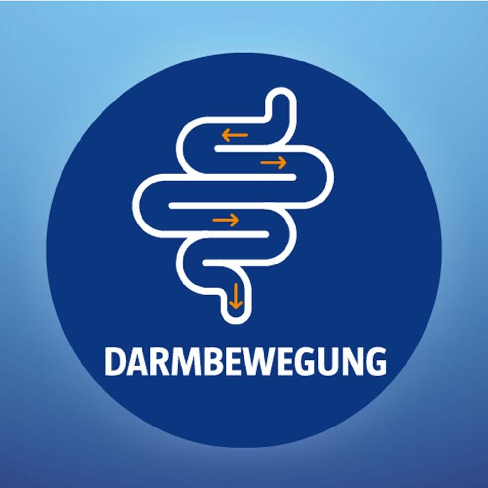 Blauer Kreis mit weißer Darmdarstellung und Pfeilen. Text: Darmbewegung.