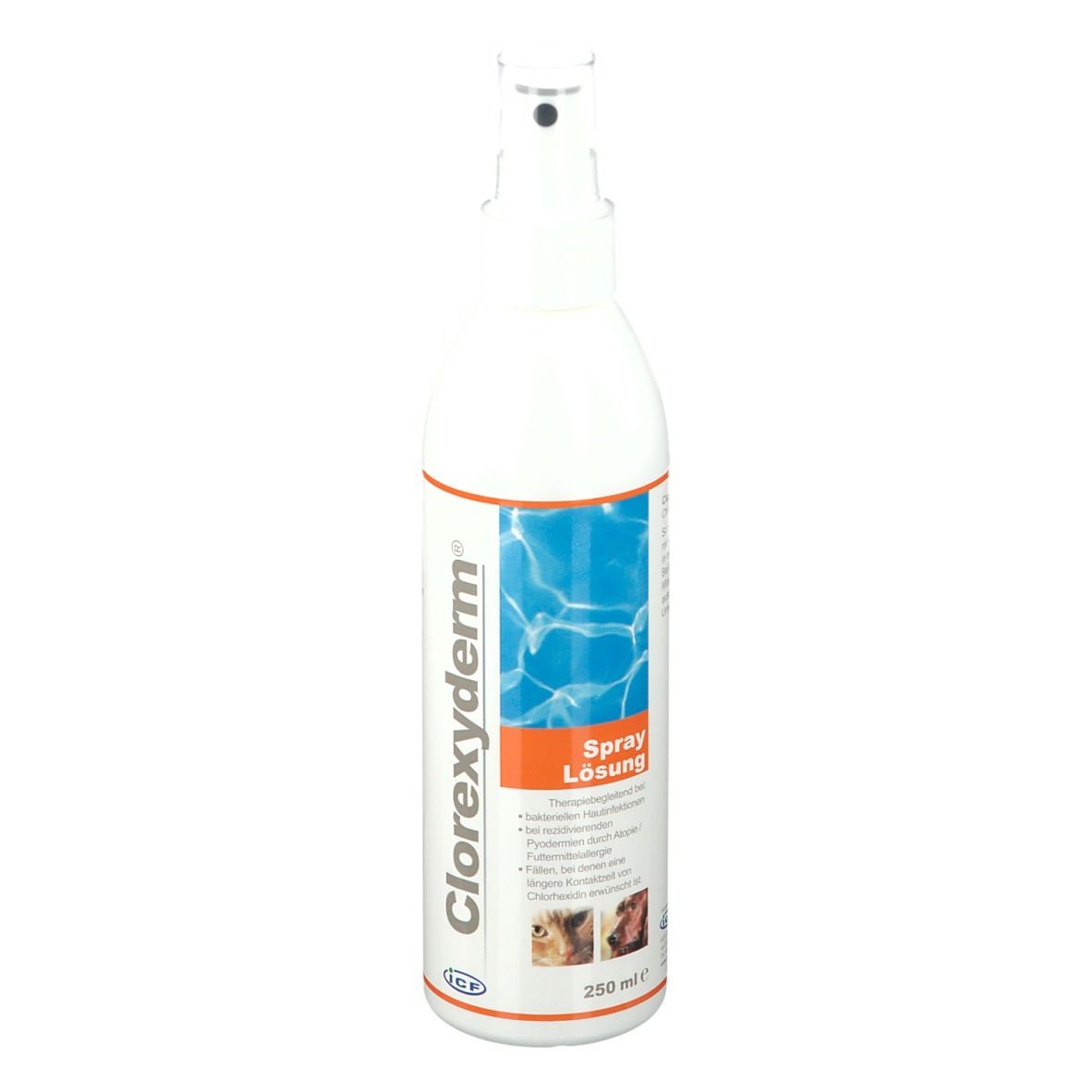 Lösung Spray 250 ml Spray