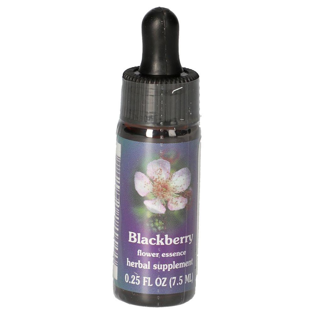Blackberry FES kalifornische Blütenessenz Tropfen 7,5 ml