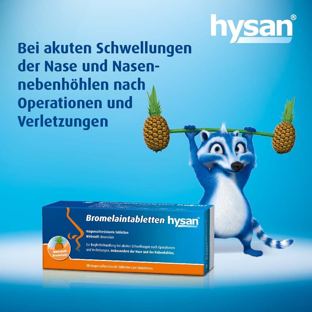 Blaues Bild mit Waschbär, der Ananas hält. Bromelaintabletten hysan®-Packung.