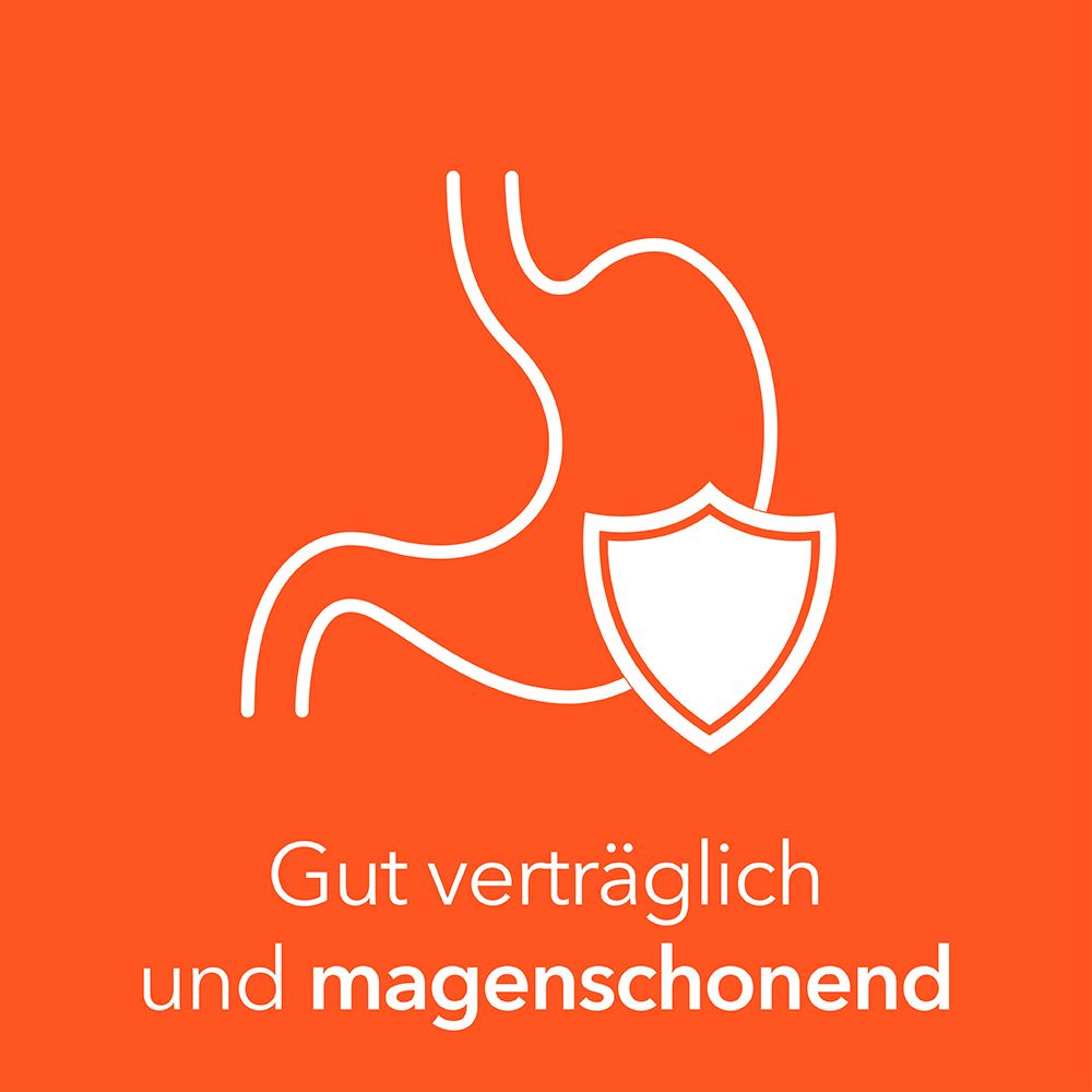 Symbol eines Magens mit Schild. Text: Gut verträglich und magenschonend.