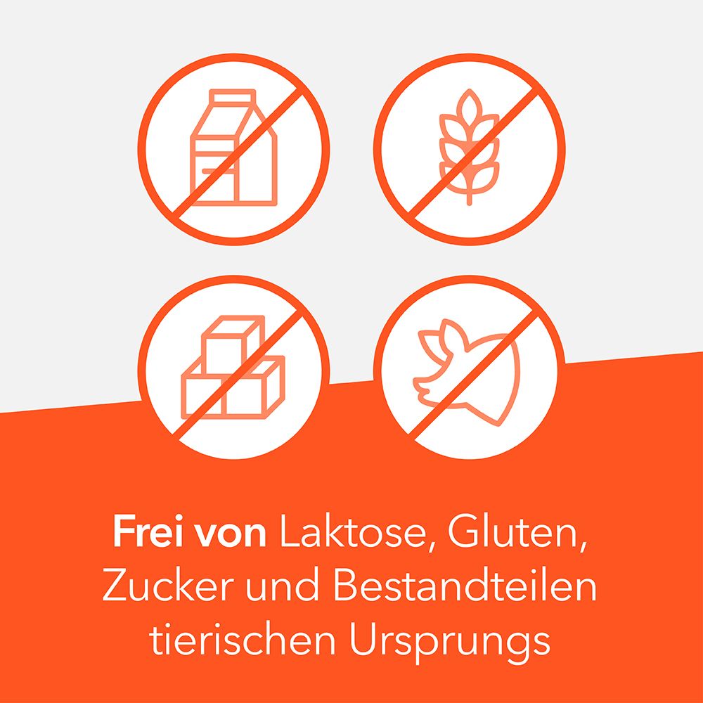 Vier Kreise mit Symbolen: Milch, Getreide, Zucker, Schwein. Text: Frei von Laktose, Gluten, Zucker und tierischen Bestandteilen.