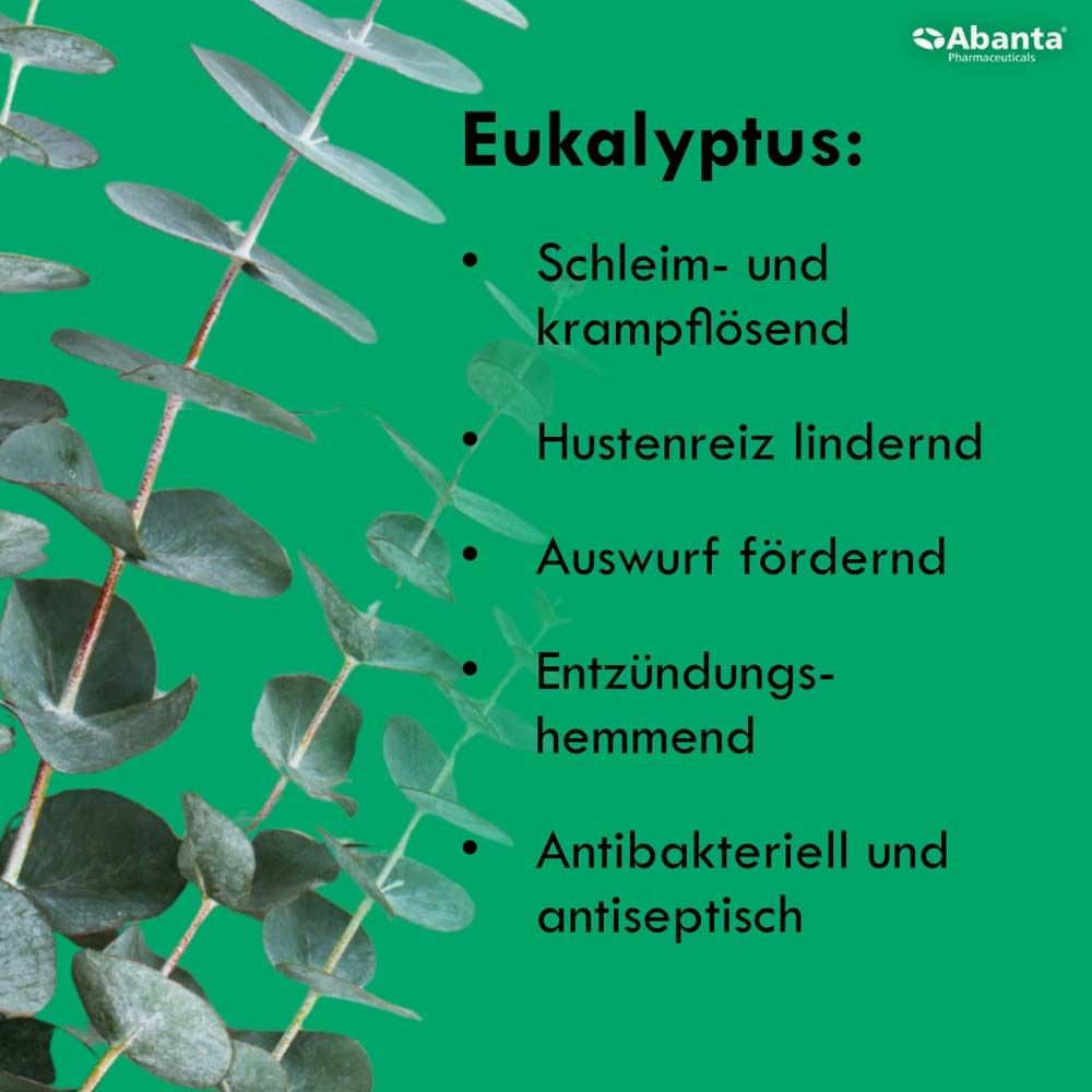 Text über Eukalyptus: schleimlösend, hustenreizlindernd, auswurffördernd, entzündungshemmend, antibakteriell.