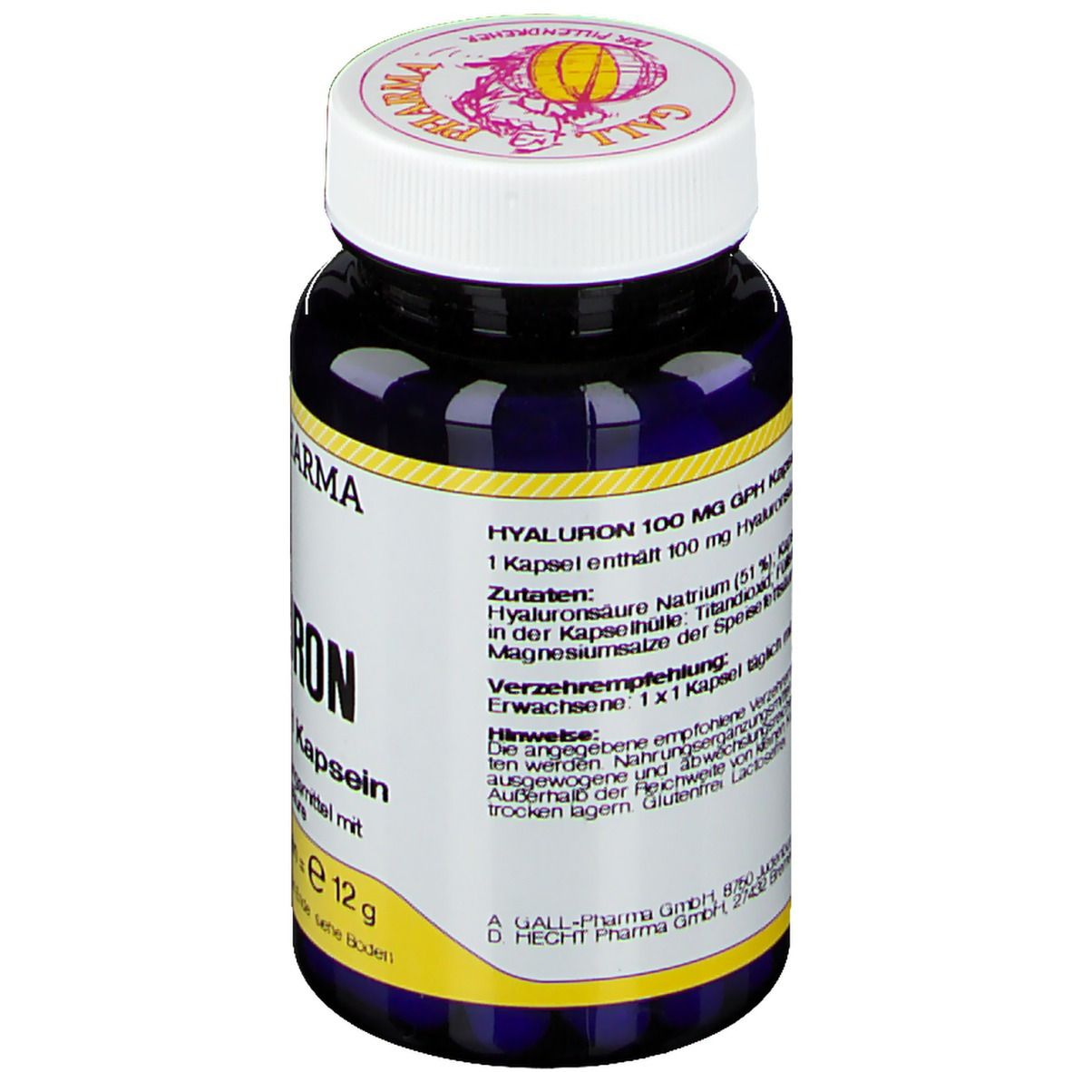 GALL PHARMA Hyaluron 100 mg