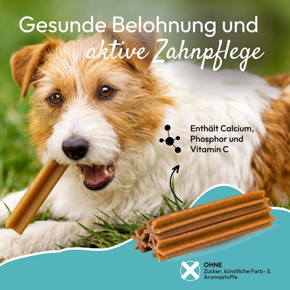 Hund mit DentalStick im Maul. Braune Sticks daneben. Text: Enthält Calcium, Phosphor und Vitamin C.