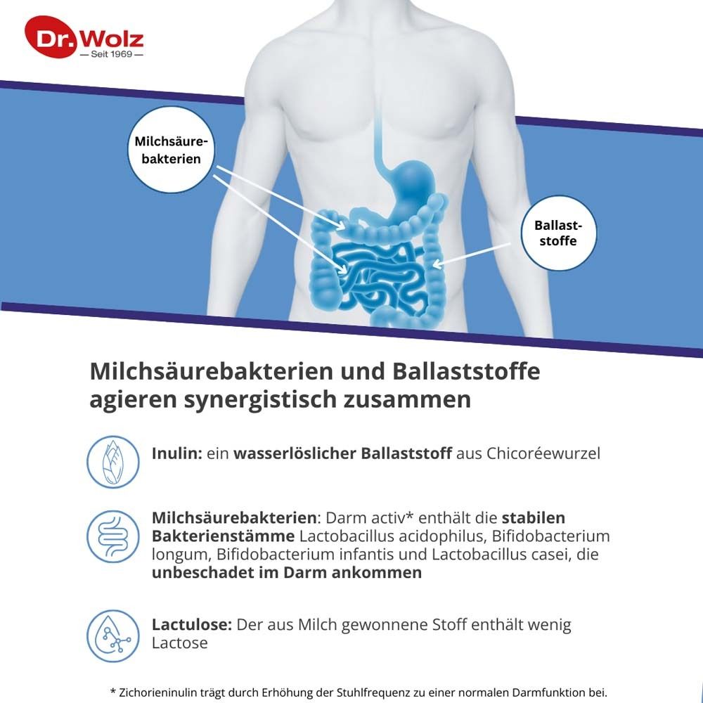 Illustration des menschlichen Darms. Informationen zu Milchsäurebakterien und Ballaststoffen. Inulin, Lactulose und Bakterienstämme.
